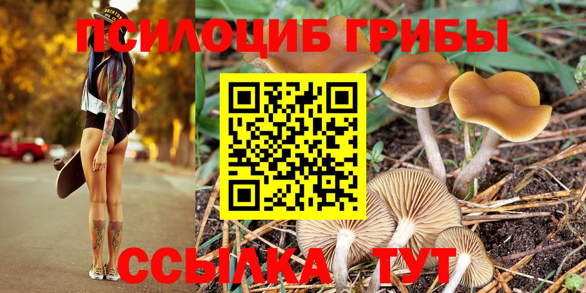 Вязники  Галлюциногенные грибы MAGIC MUSHROOMS  Вход с VPN 